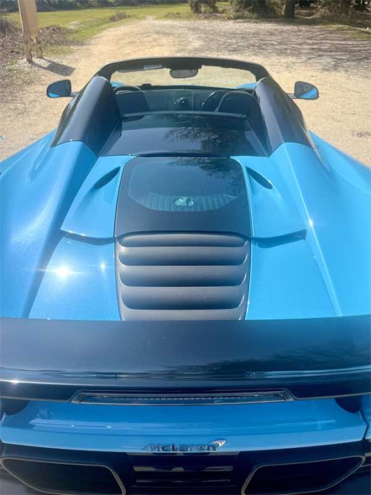 McLaren in the New Forest
